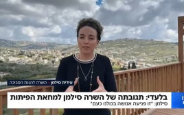 עידית סילמן (צילום: צילום מסך ערוץ 14)