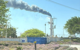 שריפה בתחנת הכוח רוטנברג באשקלון (צילום: כבאות והצלה מחוז דרום)