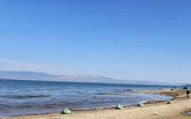 חופי הכינרת (צילום: עידן טולדנו, איגוד ערים כינרת )