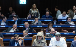 מליאת הכנסת (צילום: חיים גולדברג, פלאש 90)