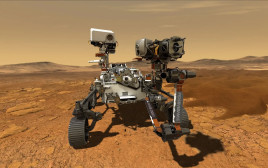 רכב החלל פרסוורנס (Perseverance) של נאס"א (צילום: NASA via Getty Images)