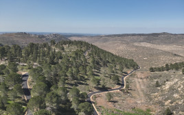 דרך נוף יער גבעות (צילום: המועצה האזורית גוש עציון)
