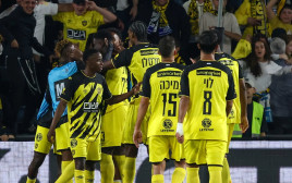 שחקני בית"ר ירושלים חוגגים (צילום: דני מרון)