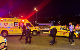 אנשי מד"א תאונה חיפה (צילום: תיעוד מבצעי מד"א)