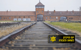מחנה ההשמדה אושוויץ־בירקנאו. משתמשים באפליקציה כתבו: “מקום טוב ללכת אליו״ (צילום: רויטרס)