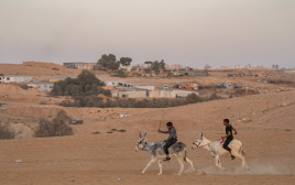 בדואים בנגב (צילום: יניב נדב, פלאש 90)