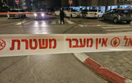 זירת רצח, משטרה (צילום: דוברות המשטרה)