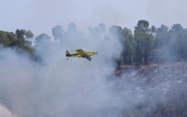 הושגה שליטה על השריפה באזור בית שמש: יער אשתאול הבוקר (צילום: אבשלום ששוני)