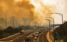 שריפה בסמוך לבית שמש (צילום: חיים גולדברג פלאש 90)
