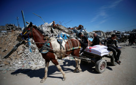 תושבי רצועת עזה עם הסיוע ההומניטרי (צילום: REUTERS/Mahmoud Issa)