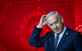 בנימין נתניהו (צילום: יונתן זינדל, פלאש 90)