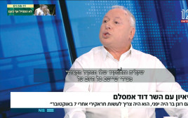 דודי אמסלם ב"פגוש את העיתונות" (צילום: מתוך קשת 12)