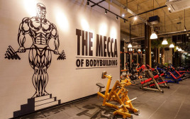goldsgym  (צילום: יח"צ)