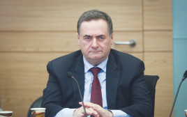 ישראל כץ (צילום: פלאש 90)