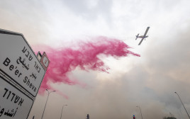 שריפת הענק בשפלת יהודה (צילום: אורן בן חקון, פלאש 90)