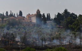 השריפות בהרי ירושלים (צילום: אבשלום ששוני)
