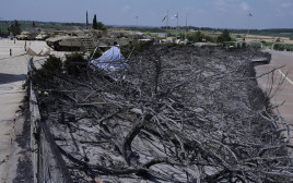 השריפות בהרי ירושלים, לטרון (צילום: אבשלום ששוני)