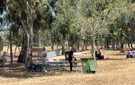 על האש בפארק הירקון (צילום: מאיה כהן)