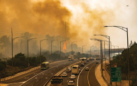 שריפה בסמוך לבית שמש (צילום: חיים גולדברג, פלאש 90)