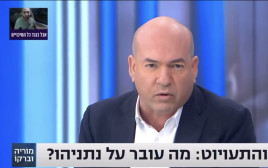 אייל ברקוביץ' (צילום: צילום מסך ערוץ 13)