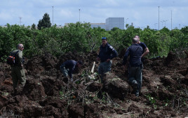 כוחות הביטחון בזירת נפילת הטיל מתימן בנתב"ג (צילום: אבשלום שושני)