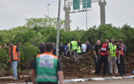 נפילת הטיל בנתב"ג (צילום: אבשלום ששוני)