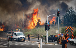 אחת השריפות שפרצו בשבוע שעבר (צילום: אורן בן חאקון פלאש 90)