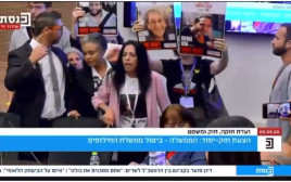 עינב צנגאוקר מתעמתת עם שמחה רוטמן בדיון בוועדת חוקה, חוק ומשפט (צילום: ערוץ הכנסת)