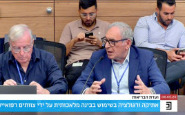 ועדת הבריאות של הכנסת (צילום: צילום מסך)