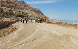 כביש 90 ליד קיבוץ עין גדי (צילום: מירב איילון)