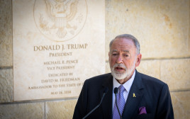 מייק האקבי (צילום: אורן בן חקון, פלאש 90)