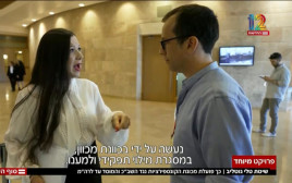 טלי גוטליב (צילום: צילום מסך חדשות 12)