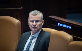 יריב לוין (צילום: יונתן זינדל, פלאש 90)