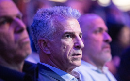 דדי ברנע (צילום: חיים גולדברג, פלאש 90)