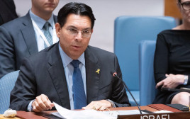 דני דנון בדיון במועצת הביטחון של האו"ם (צילום: Evan Schneider/un photo)
