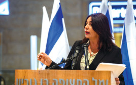 מירי רגב (צילום: פלאש 90)