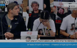 ארבל יהוד (צילום: ערוץ הכנסת)