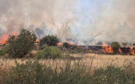 שריפה בגוש עציון (צילום: כבאות והצלה מחוז יו"ש)