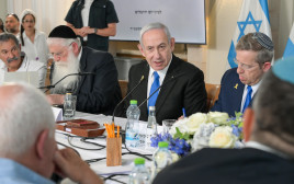 בנימין נתניהו בישיבת הממשלה (צילום: מעיין טואף, לע"מ)