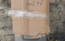 מצעד הדגלים בירושלים 2025 (צילום: ללא)