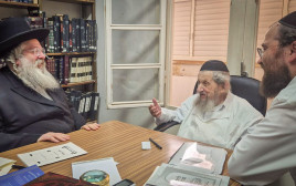 מנהיגי הציבור החרדי (צילום: ללא קרדיט)