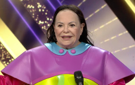 גילה אלמגור (צילום: צילום מסך קשת 12)