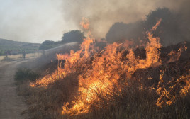 השריפה סמוך למודיעין (צילום: כבאות והצלה מחוז מרכז)