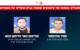 מחבלים במסווה של עיתונאים (צילום: דובר צהל)