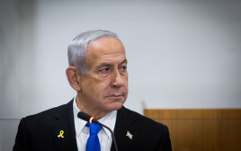 בנימין נתניהו (צילום: חיים גולדברג, פלאש 90)