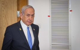 בנימין נתניהו (צילום: יריב כץ, פול)