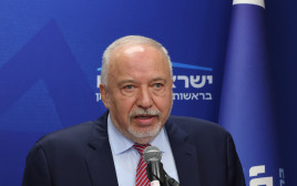 אביגדור ליברמן (צילום: מרק ישראל סלם)
