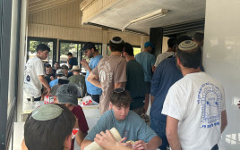 פלאפל עמר (צילום: בתיה גלעדי)