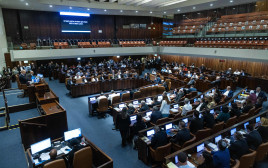 מליאת הכנסת (צילום: חיים גולדברג, פלאש 90)