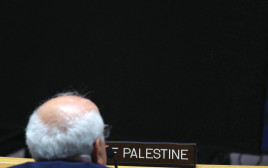 ריאד מנסור, הנציג של הרשות הפלסטינית באו''ם (צילום: רויטרס)